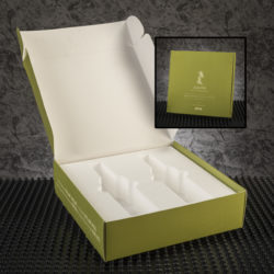 Custom die cut folding carton with EPS foam insert
